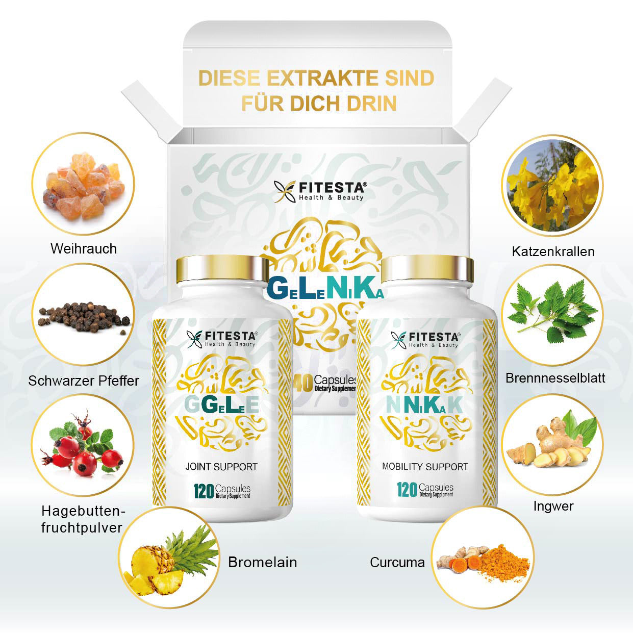 GELENIKA - GLNK Joint Support