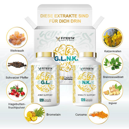 GELENIKA - GLNK Joint Support